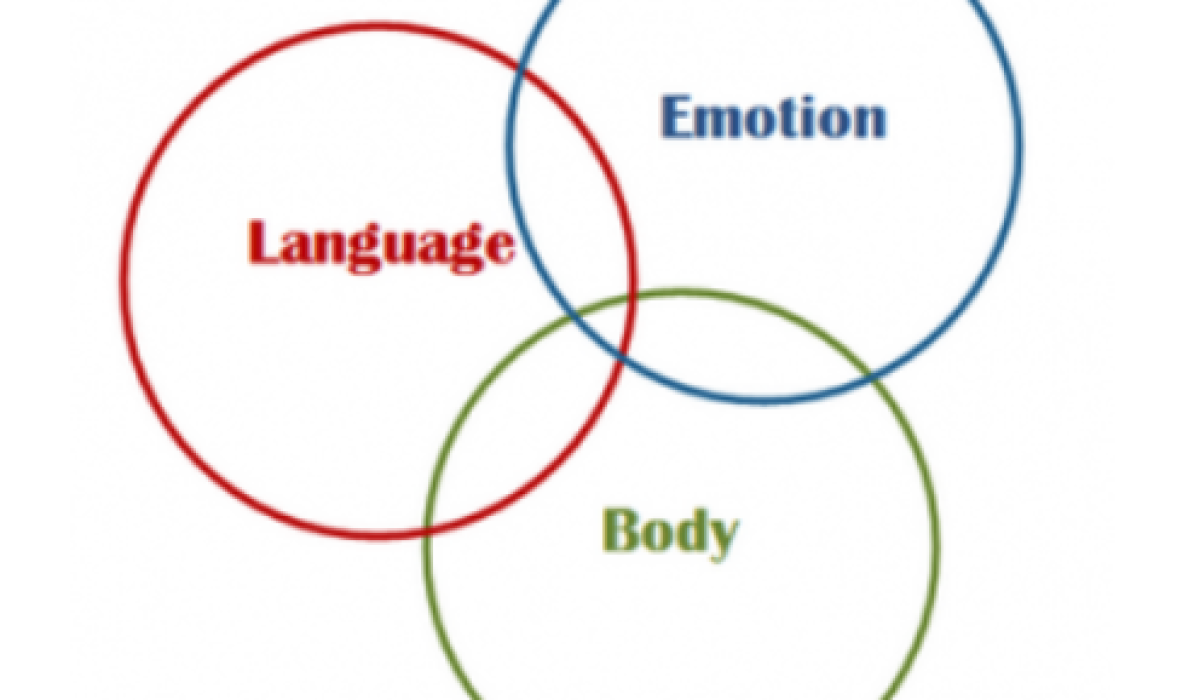 Captura de pantalla 2025-08-29 a las 9.39.00